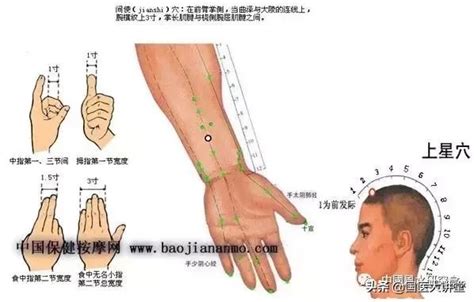 玉門穴|《中醫詞典》解釋「玉門頭」的意思